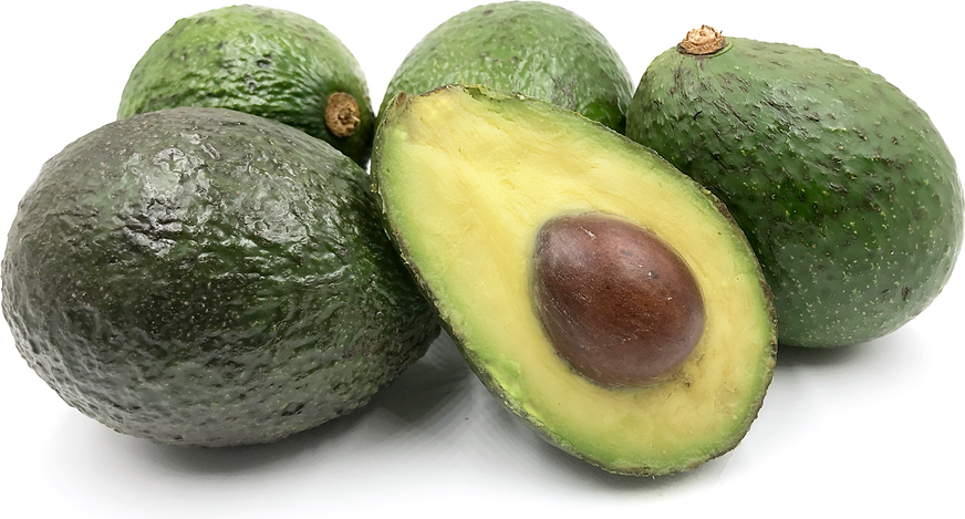 Sharwil Avocados - Abundant 2021 Harvest! π₯ π