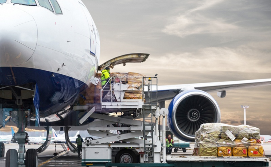 First Shipments of Hawaii Sharwil Avocados to the US Mainland in 25 Years