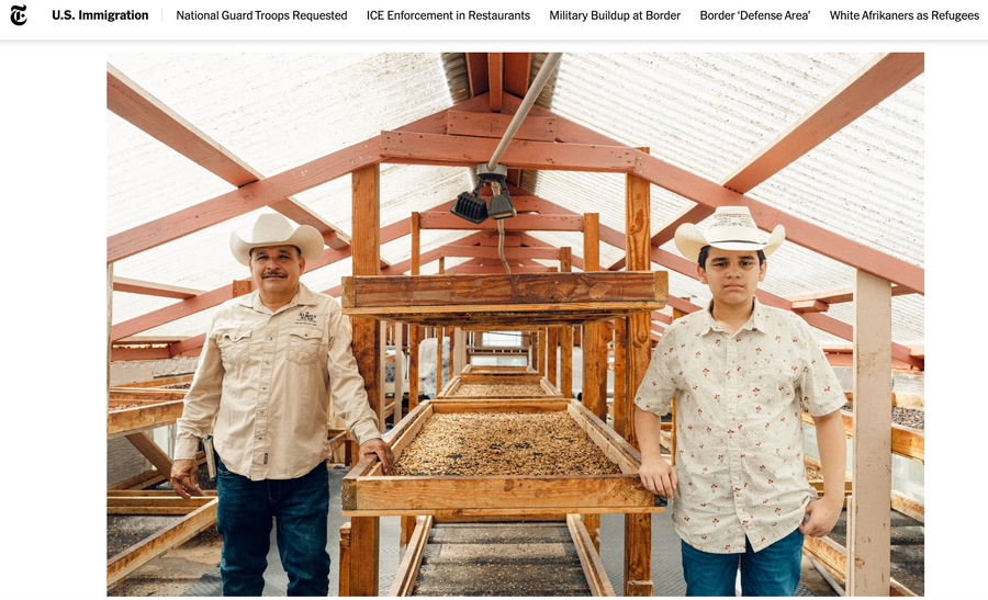 NYT Highlights How ICE Actions Impact Kona's Coffee and Community
